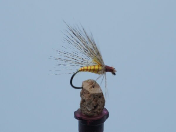 MOSCA AHOGADA TOSTADA CANELA