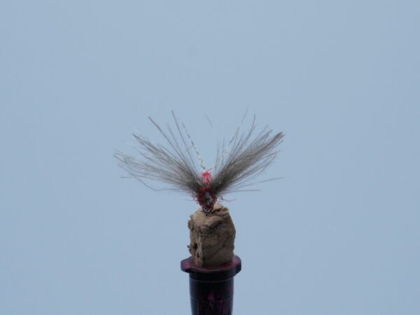 DSC00052 Barón Rojo