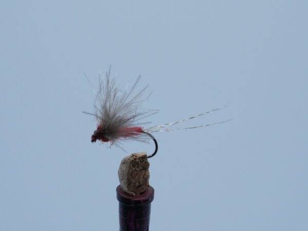 DSC00053 Barón Rojo