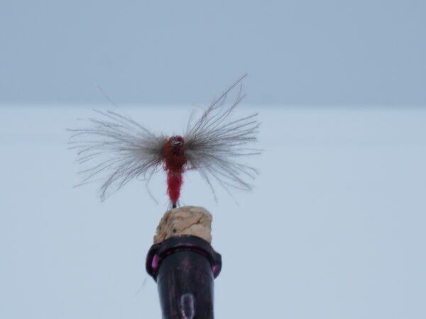 DSC00054 Barón Rojo