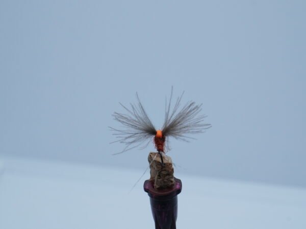 DSC00055 MOSCA SECA RUSTY RED