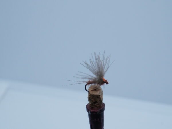 DSC00056 MOSCA SECA RUSTY RED