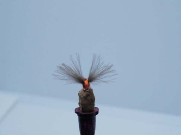 DSC00057 MOSCA SECA RUSTY RED