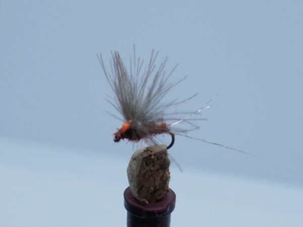 DSC00058 MOSCA SECA RUSTY RED