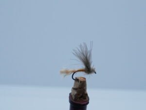 DSC00061 Mosca seca efémera Fanta