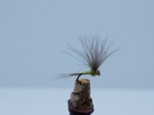 DSC00063 MOSCA EFEMERA VERDE LIMÓN