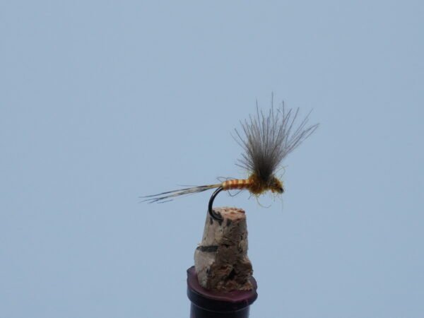 MOSCA SECA TOSTADA CANELA