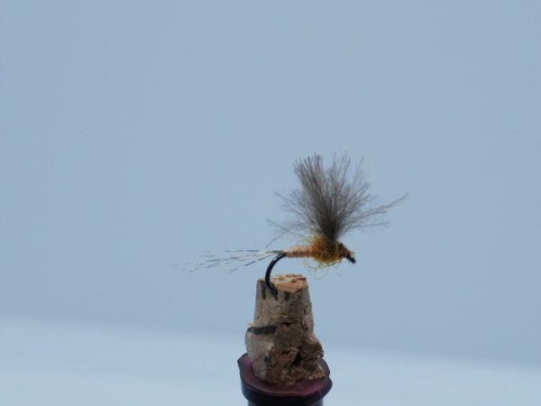 DSC00068 MOSCA EFEMERA COLOR CARNE