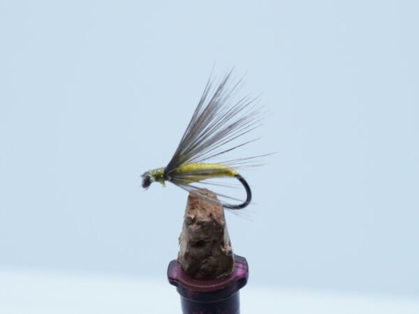 MOSCA AHOGADA OLIVA ESLA