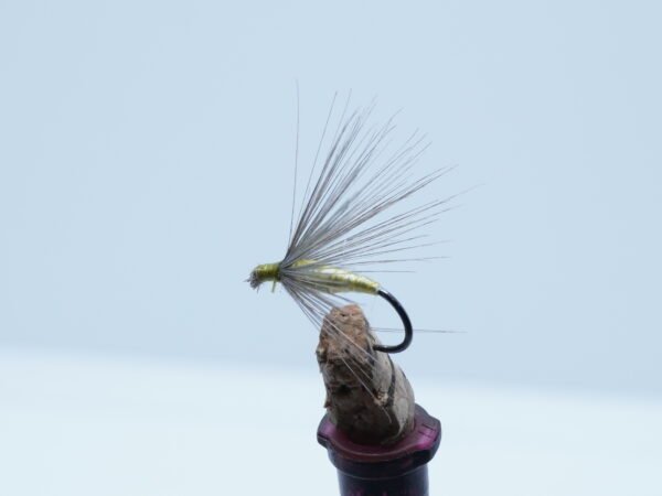 Mosca Ahogada Verde Oliva Leonesa