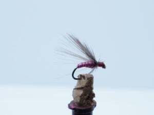 MOSCA AHOGADA MORADO Indio