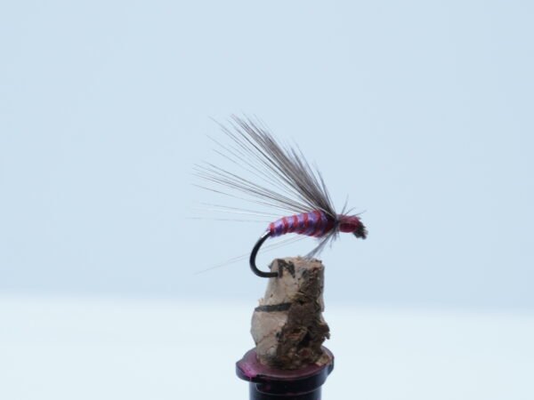 MOSCA AHOGADA MORADO Indio