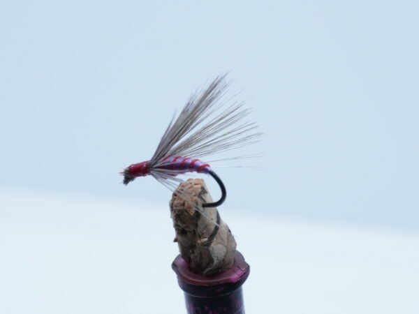 MOSCA AHOGADA MORADO Indio