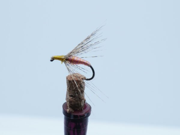 MOSCA AHOGADA CARNE  FLOR DE ESCOBA