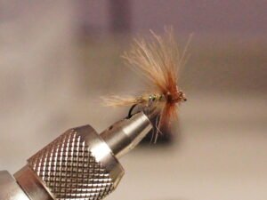 DSC00129 Mosca Seca Oreja de Liebre