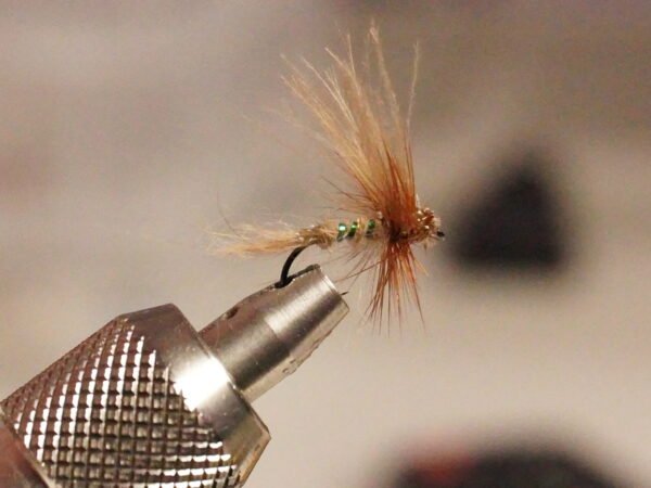 DSC00131 Mosca Seca Oreja de Liebre