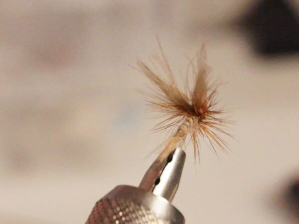 DSC00132 Mosca Seca Oreja de Liebre