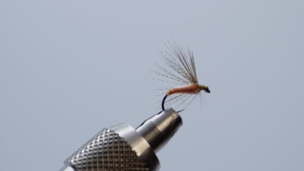 MOSCA AHOGADA CARNE  FLOR DE ESCOBA