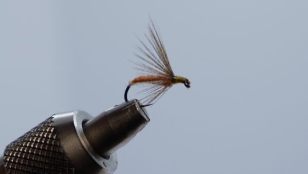 MOSCA AHOGADA CARNE  FLOR DE ESCOBA