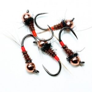 NINFA FAISAN Ninfa Faisan Culi Roja