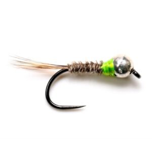 NINFA FAISan cuello verde1 NINFA FAISan Cuello Verde