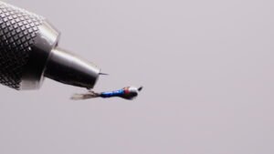 Ninfa Vitamina cuello Naranja