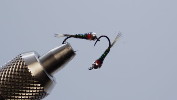 Gasolina Cuello Naranja tr