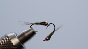 Ninfa Oliva Gasolina