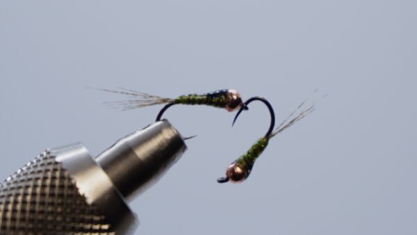 Ninfa Oliva Gasolina