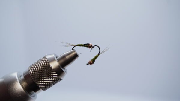 Ninfa Oliva Gasolina