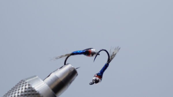 Ninfa Vitamina cuello Naranja