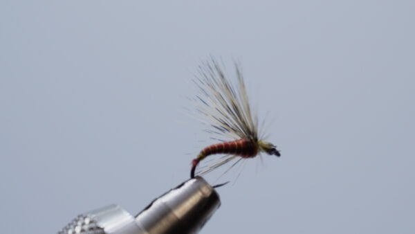 Mosca Ahogada Tabaco flor de escoba