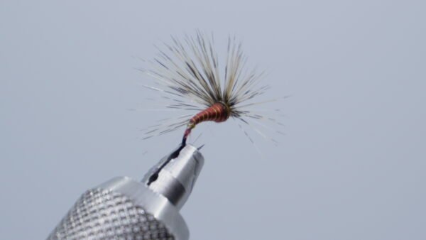 Mosca Ahogada Tabaco flor de escoba