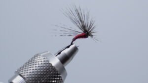 MOSCA AHOGADA Sangre de Toro