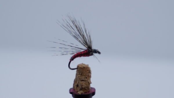 MOSCA AHOGADA Sangre de Toro