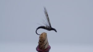 Mosca ahogada Hormiga PNG