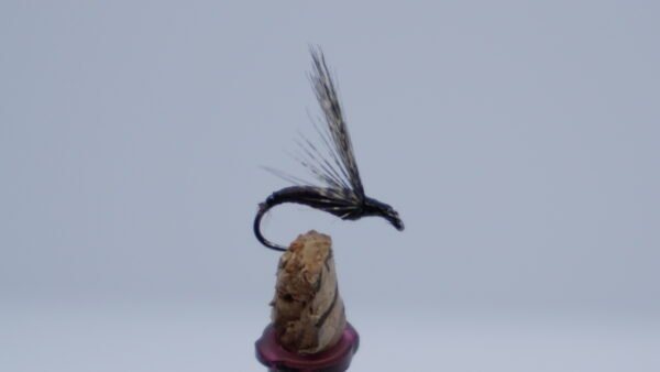 Mosca ahogada Hormiga PNG