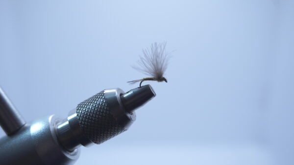 DSC00682 Mosca Seca OLIVA CON PLUMAS CDC medio