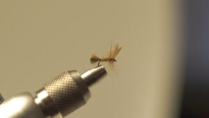 DSC00707 Mosca Seca liebre con plumas de gallos de león