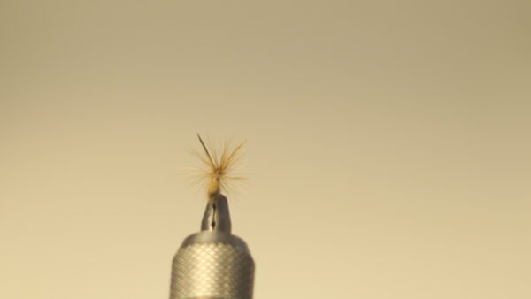 DSC00712 Mosca Seca liebre con plumas de gallos de león