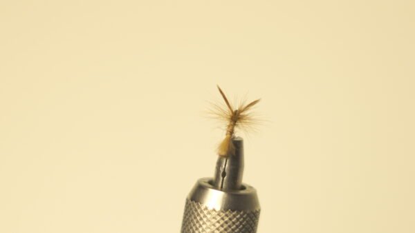 DSC00713 Mosca Seca liebre con plumas de gallos de león