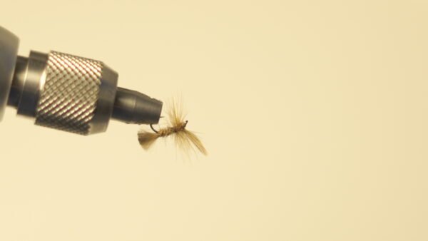 DSC00714 Mosca Seca liebre con plumas de gallos de león