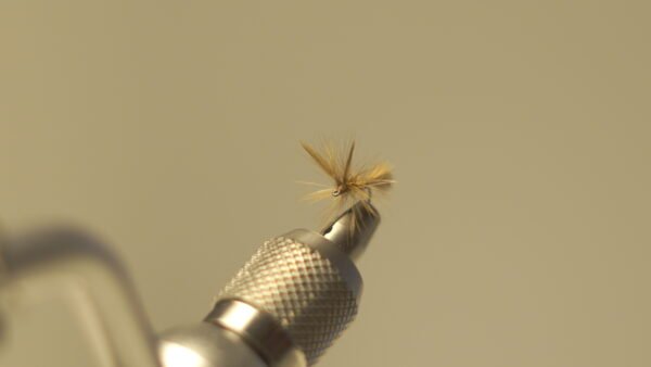 DSC00715 Mosca Seca liebre con plumas de gallos de león