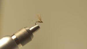 DSC00719 Mosca Seca Faisán plumas cdc